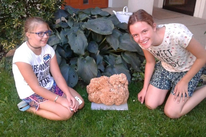 Sophie und Eva aus Hartberg fanden diese Krause Glucke