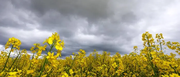 Kommt der ersehnte Regen nach Kärnten und Osttirol?