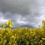 Kommt der ersehnte Regen nach Kärnten und Osttirol?