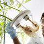 Im Zuge der Fusion mit Monsanto muss Bayer einen Teil seiner Pflanzenschutz-Technologie verkaufen