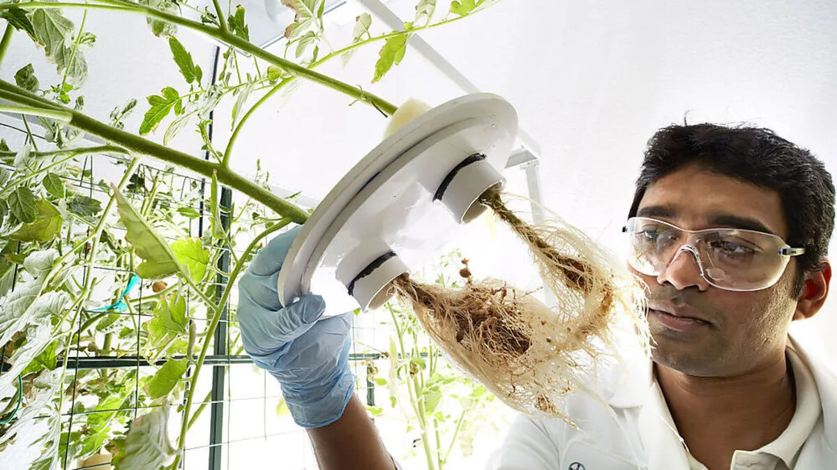 Im Zuge der Fusion mit Monsanto muss Bayer einen Teil seiner Pflanzenschutz-Technologie verkaufen