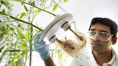 Im Zuge der Fusion mit Monsanto muss Bayer einen Teil seiner Pflanzenschutz-Technologie verkaufen