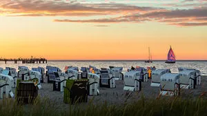 Ab ins (Strand-)Körbchen!