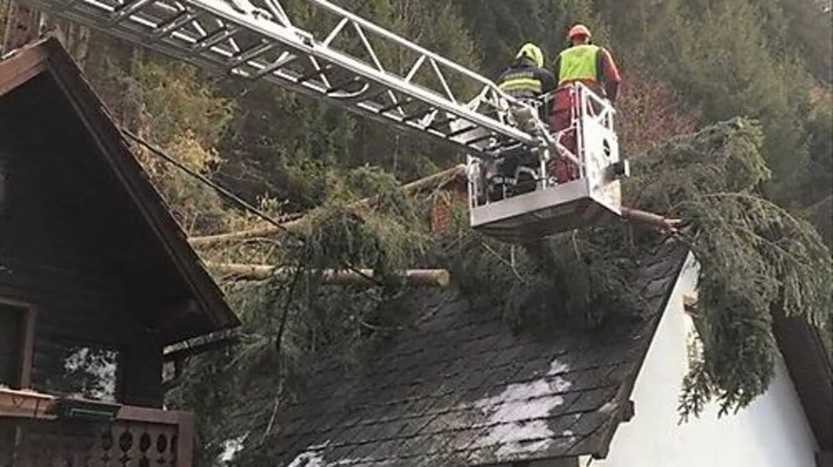 Am Vormittag waren die Kameraden im Einsatz