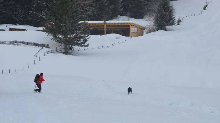 Für so manch erfahrenen Bergretter und Hundeführer ist es bereits der zweite oder dritte Hunde, der die Ausbildung durchläuft