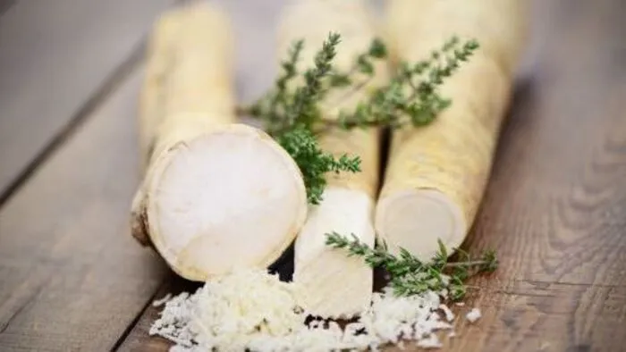Im Magazin "Besser leben, besser essen": Wie Kren das Wachstum von Bakterien im Körper hemmt