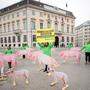 Greenpeace-Protest gegen Gentechnik in AMA-Schweinefleisch 