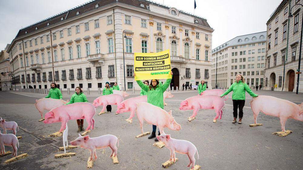 Greenpeace-Protest gegen Gentechnik in AMA-Schweinefleisch 