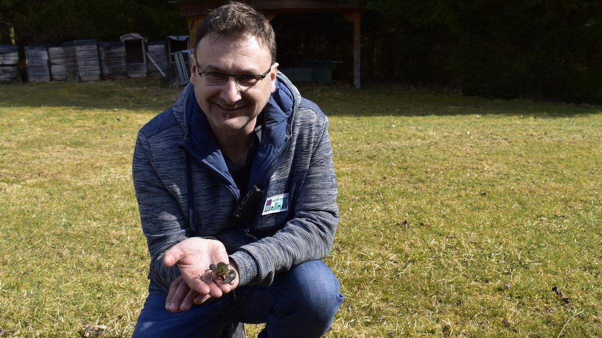 Hobbyzüchter Dietmar Kreindl mit einem Edelskrebs. Sein Bestand zählt aktuell 600 bis 700 solcher Krebse