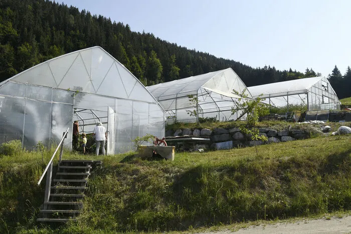 Begonnen hat alles mit einem Hausgarten, jetzt baut man über 300 Gemüse-Sorten in Folientunnels und im Freien an.