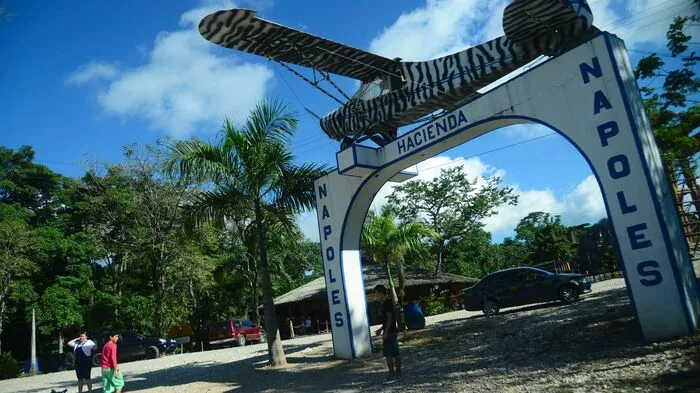 Er konnte sich viel leisten und tat es auch: Der kolumbianischen Drogenbarons Pablo Escobar hielt zu Lebzeiten auf seinem Anwesen "Hacienda Napoles" jede Menge exotische Tiere. Darunter ...
