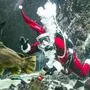 Timo Kaminski, Leiter des Multimar Aquarien- und Tierpflegebereichs im Multimar Wattforum (Schleswig-Holstein), taucht als Nikolaus verkleidet zur Fütterung im Großaquarium des Multimar Wattforums.