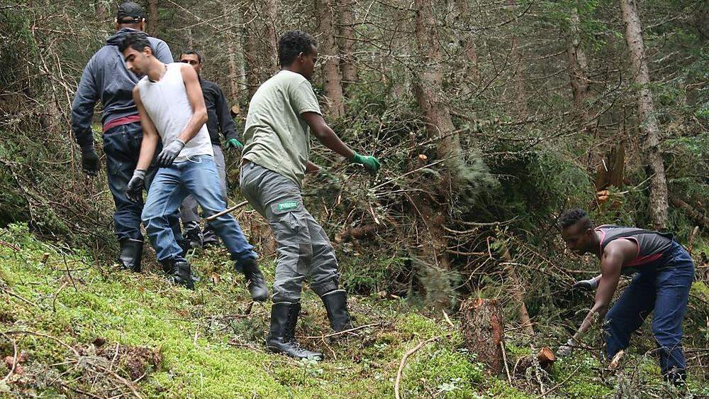 Das Projekt „Edelweiss“ des Nationalparks Hohe Tauern macht es möglich: Asylwerber helfen, den Lebensraum für Auerwild im Bereich Zunigalm wiederherzustellen