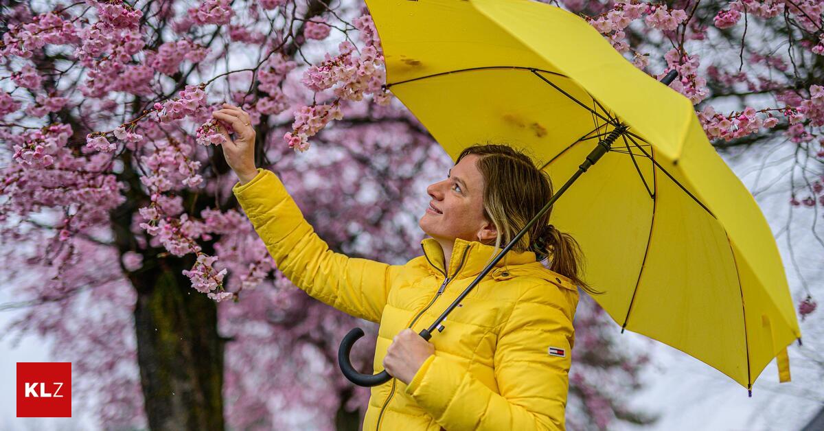 Wetter-Ende-der-Woche-hat-es-in-der-Fr-h-wieder-Minusgrade