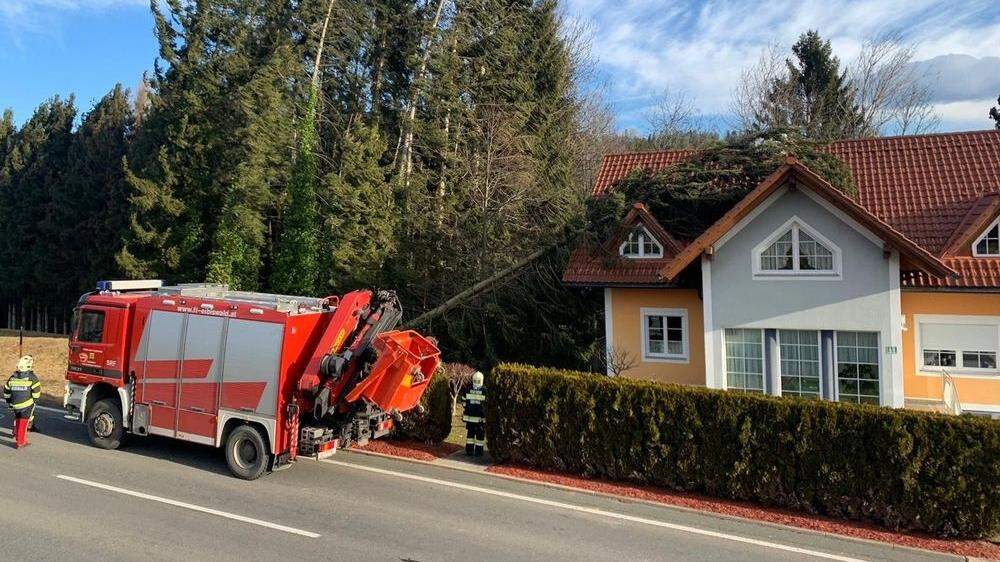 In St. Oswald ob Eibiswald stürzte ein Baum auf ein Haus