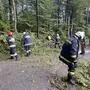 Die Freiwillige Feuerwehr Otternitz (Bezirk Deutschlandsberg) befreite die Gemeindestraße von einer umgestürzten Pappel