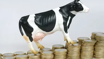 Wenn es wirklich so wird wie vorhergesagt, dann dürfen unsere Bauern viel Milch um wenig Geld nach China exportieren