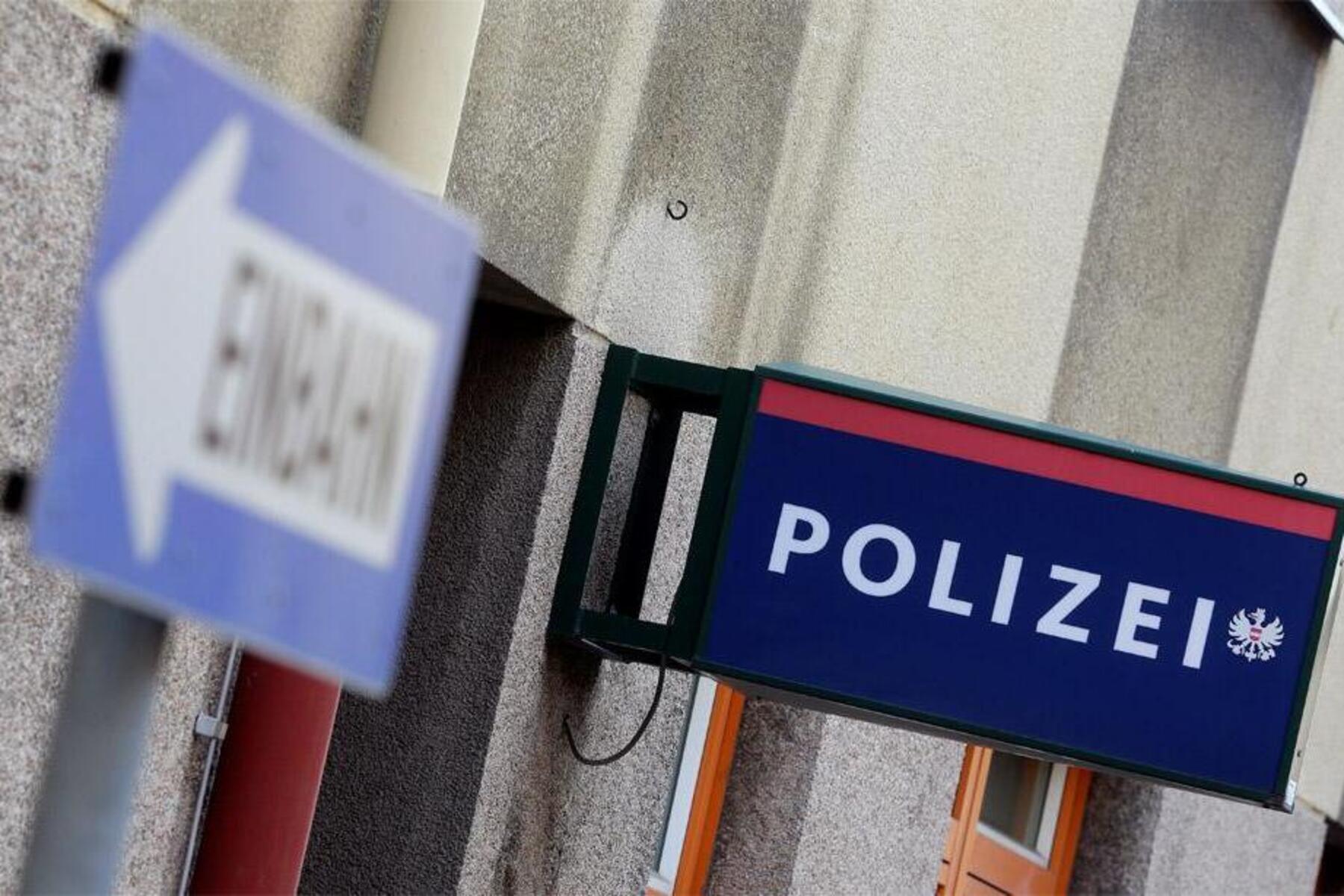 Katzenbabys mit Mutter in verknotetem Plastiksack gefunden