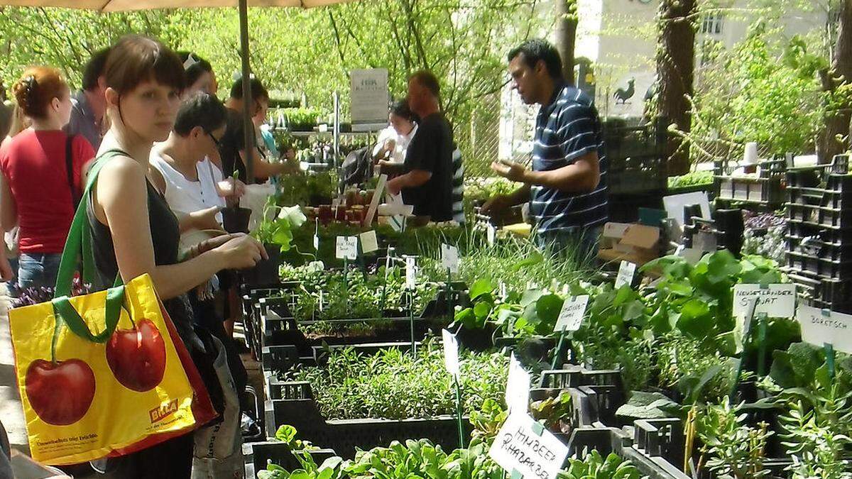 Pflanzenraritätenmarkt im Botanischen Garten