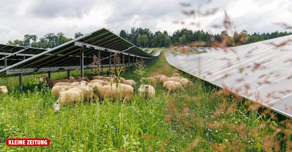 Ausbauflaute? Solarverband verschnupft über steirische Verordnung