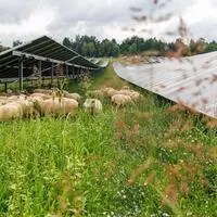 Dobl-Zwaring ist eine von bislang nur zwei steirischen Vorrangzonen, die vollständig für die Photovoltaik genutzt werden