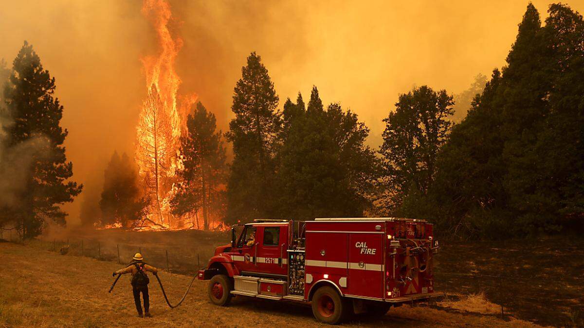 Waldbrand nahe des Yosemite-Nationalparks