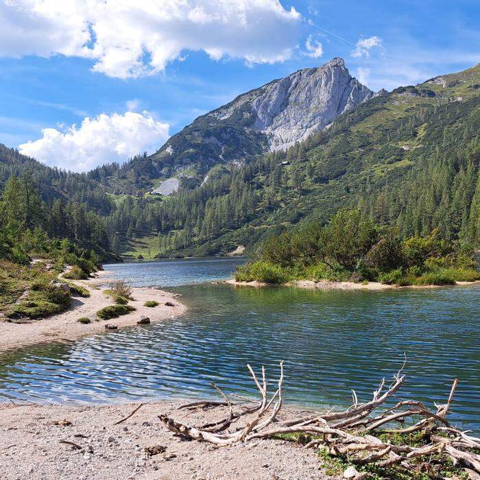 Sommer in den Bergen | Auf der Tauplitz ist das Wandern bei diesem traumhaften Panorama besonders schön, wie das Bild unserer Leserreporterin beweist.