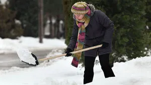Ohne Bewilligung der Behörde geht gar nichts! 