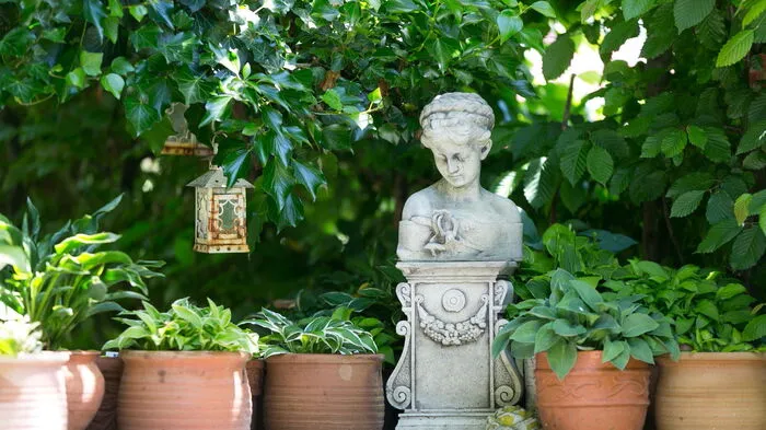 Im Schatten hübsch aufgereiht: die edlen Stücke aus derMini-Hosta-Sammlung.