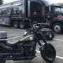 Alles dreht sich um die Kultmarke Harley Davidson