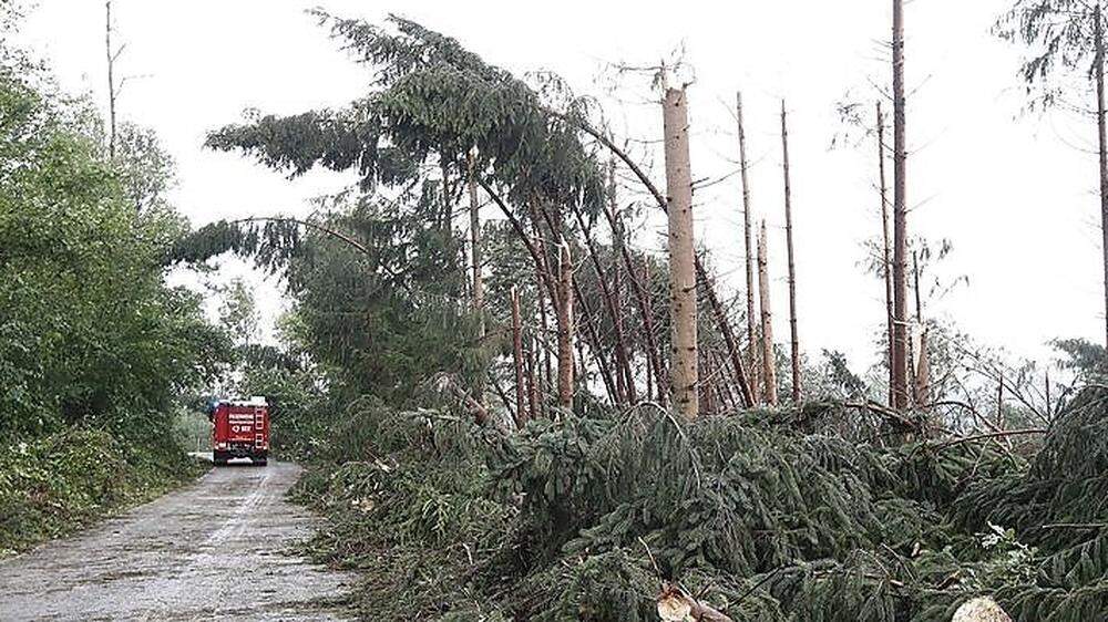 Mehr als 400.000 Festmeter Holz fielen in Kärnten den Unwettern im Juli zum Opfer, wie hier im Raum Völkermarkt