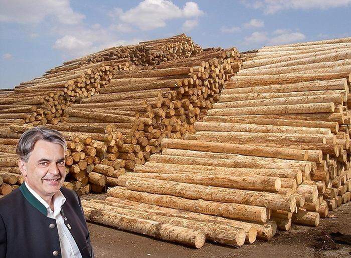 Herbert Jöbstl ist Obmann des Fachverbandes der Holzindustrie 