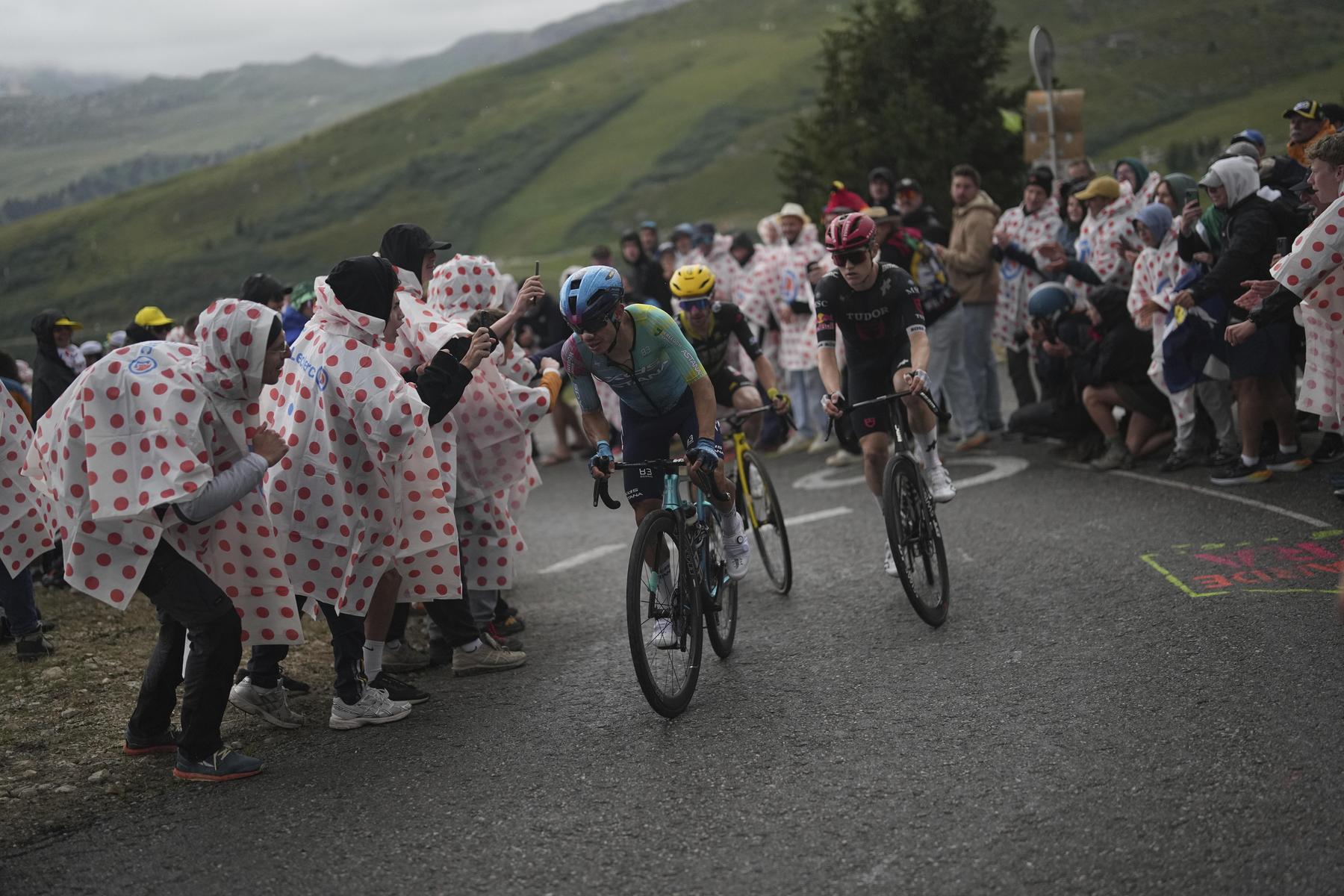 95 statt 130 Kilometer: Rinderseuche! Tour de France muss Etappe verkürzen