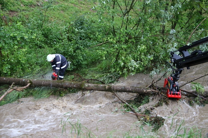 Die Feuerwehr Voitsberg musste Mittwoch am Nachmittag einen Baum aus der Kainach fischen. Weitere Fotos...