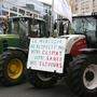 Landwirte demonstrieren in Brüssel gegen das Mercosur-Abkommen