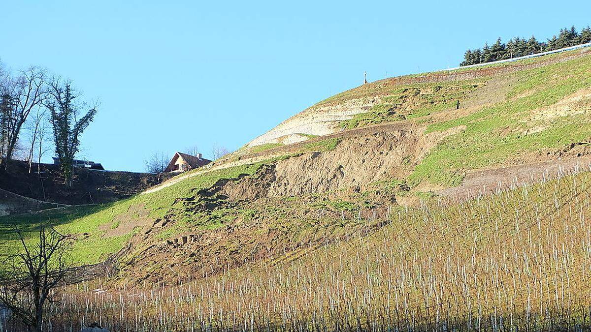Im Dezember kam es beim Weinbauprojekt am Graßnitzberg zu einem Erdrutsch