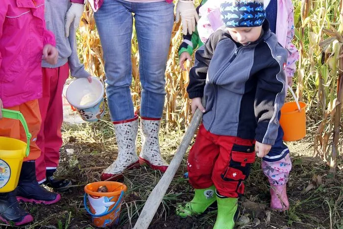 Nach der erfolgreichen Ernte, durften die Kartoffeln mit nach Hause genommen werden.
