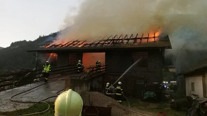 100 Feuerwehrleute waren im Einsatz. Menschen und Tiere blieben zum Glück unverletzt.