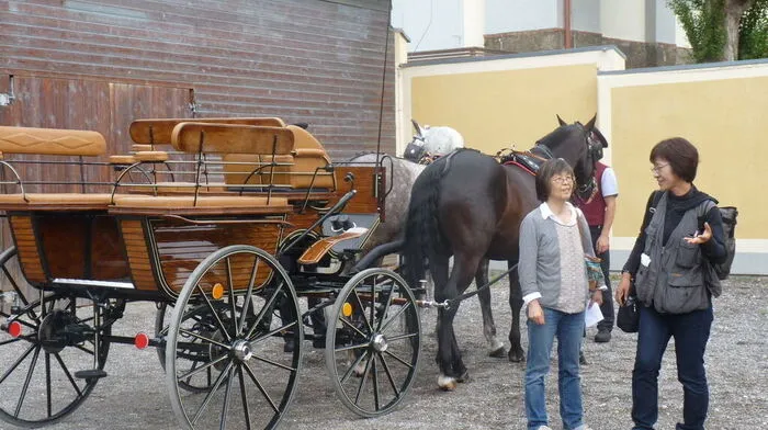 Ein japanisches Filmteam besuchte Piber