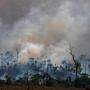 Die Brände im Amazonas beeinflussen auch das Klima im Rest der Welt