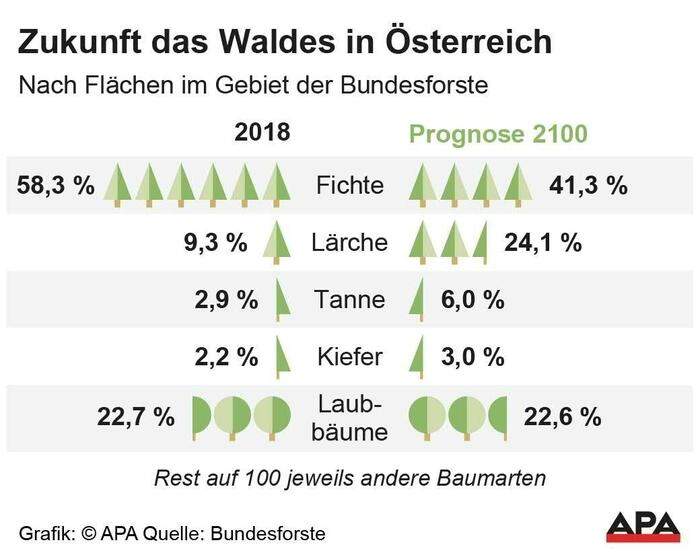 Prognose - Zukunft das Waldes in Österreich