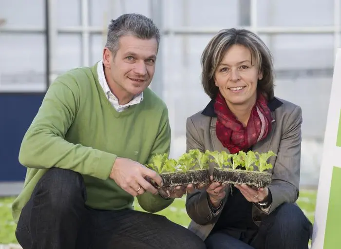 Leo Scherr, Jungpflanzen, Weixselbaum, Gemüse,  am 20.12.2012