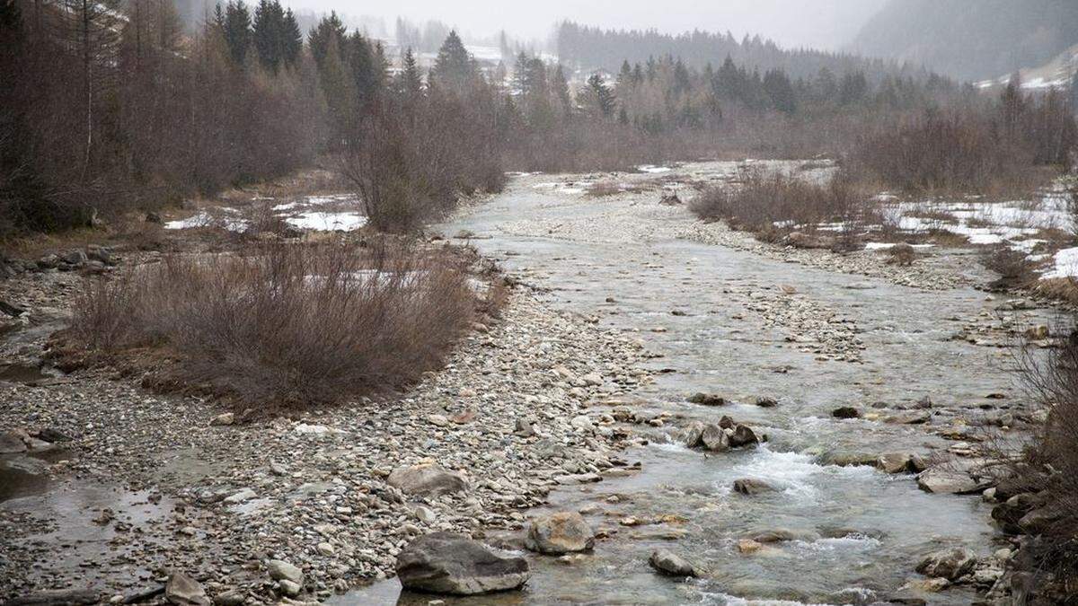 Teile vom Kalserbach, die große Tamarisken-bestände aufweisen, wurden vom Land nicht nach Brüssel gemeldet