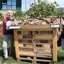 Projektleiterin Theres Raith-Breitenberger und ihre Kollegin Julia Prem