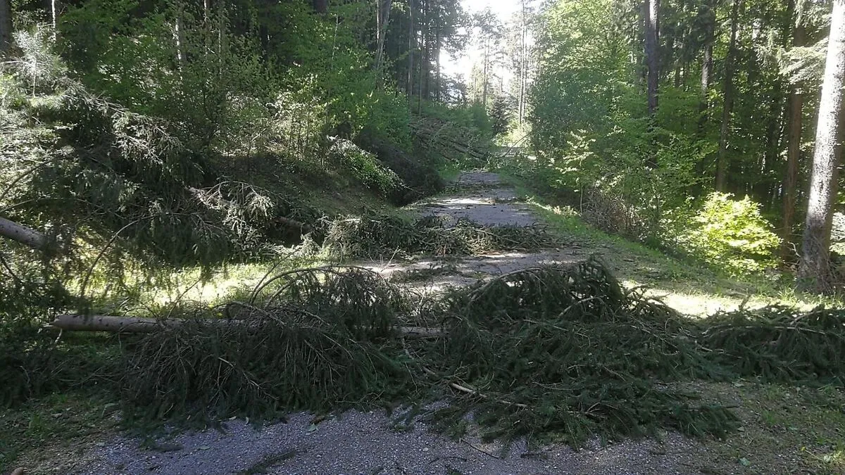Am Radweg sind einige Aufräum- und Ausschneidearbeiten durchzuführen (Symbolbild)