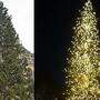 Die Lichterprobe des Metnitzer Christbaumes ist geglückt