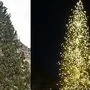 Die Lichterprobe des Metnitzer Christbaumes ist geglückt