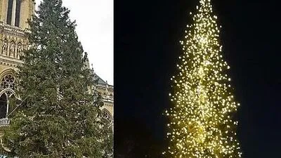 Die Lichterprobe des Metnitzer Christbaumes ist geglückt