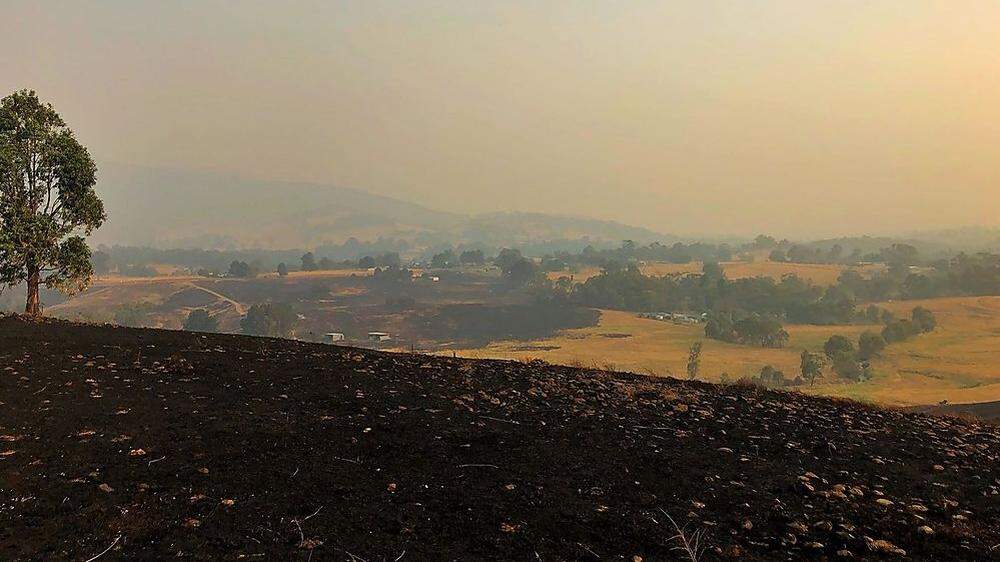 Verbrannte Erde - in Australien brennen die Wälder, zurück bleiben Rauch und Asche