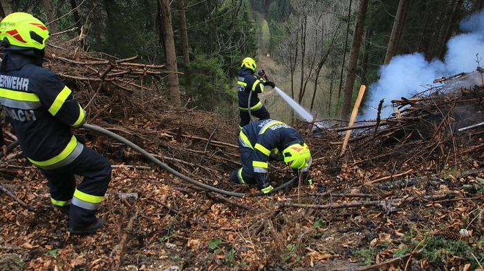 Auch Wehren anderer Abschnitte wurden alarmiert. Schließlich standen 220 Einsatzkräfte von elf Feuerwehren im Einsatz.